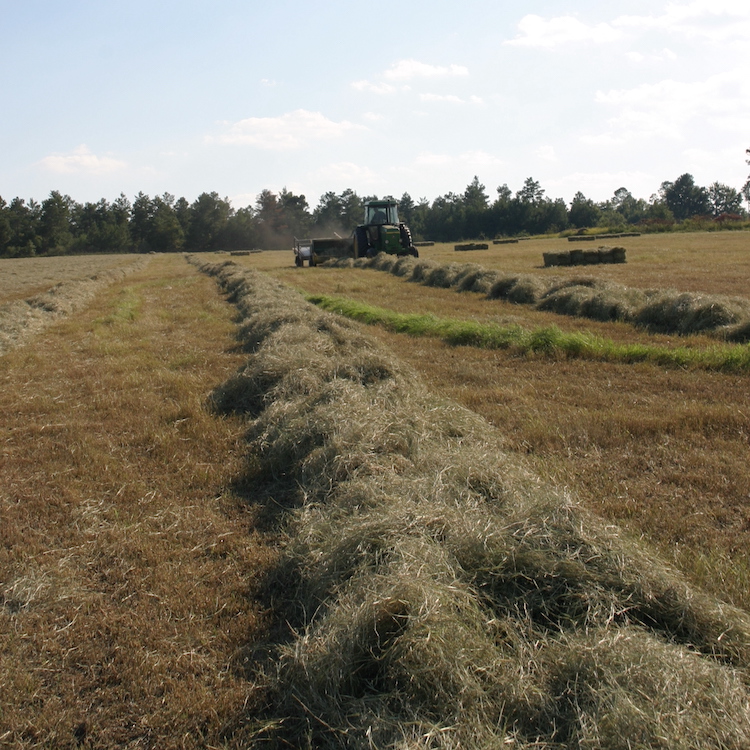 Knowles wins 2020 GFB Quality Hay Contest